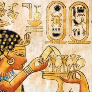 history_Mesa de trabajo 1